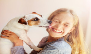 Top 10 vragen om te stellen bij het kopen van een huisdierenverzekering