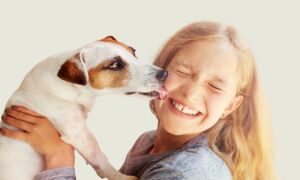 Top 10 vragen om te stellen bij het kopen van een huisdierenverzekering